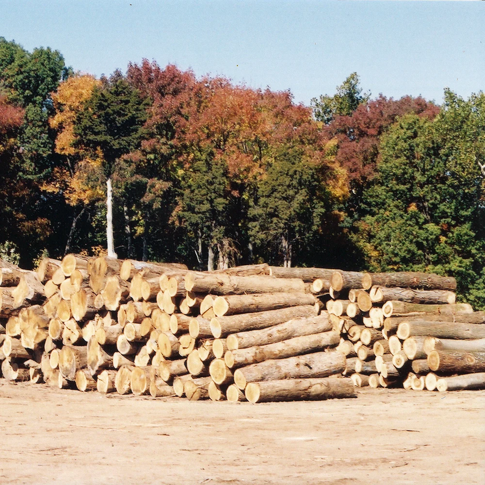 Our Original Lumber Yard